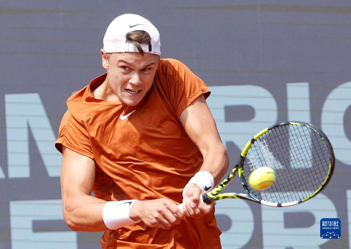 导致了重大 导致了重大